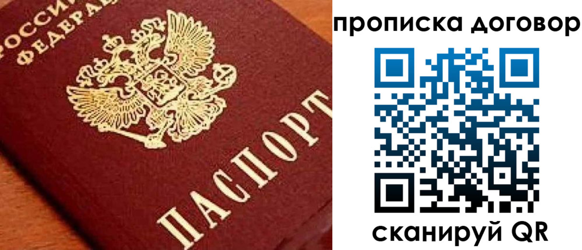 прописка поиск в Сураже